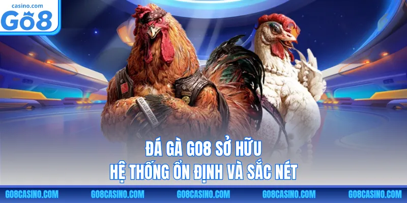 Đá gà GO8 sở hữu hệ thống ổn định và sắc nét